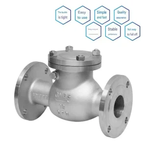 Manual Horizontal Stainless Steel Swing Check Valve 304 Stainless Steel Flange One way Check Valve