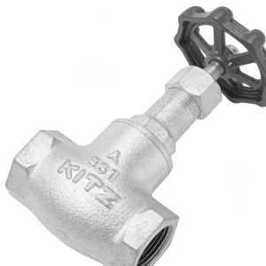 Manual Japan 10SJ Ductile Iron Globe Valve Screwed Ends for Steam
