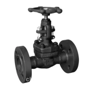 Manual Low Temperature Carbon Steel Gate Valve DN15-DN100 Z41H LF2