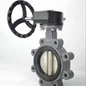 Manual Lug Soft Seal Metal Seat CF8M SS316 Steel Wafer Type Stainless Steel Butterfly Valve DN50 DN2000 for Water