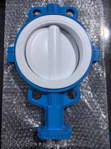 Manual Lug type Soft seal Butterfly Valve Compact Design for Piping Systems DN50 DN600 Port Size