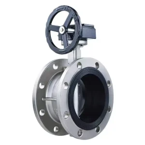 Manual Operation Soft Seal Flanged Stainless Steel Butterfly Valve High Temperature Base Worm Gear DN100 DN2000 EPDM Sealed 1