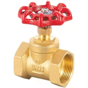 Manual PN16 Screwed End 1 Inch Brass Gate Valve for Water