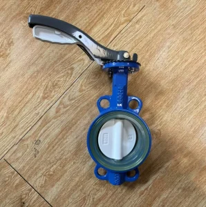 Manual PTFE Valve Seat High-performance Wafer Double-eccentric Butterfly Valve for Water DN65 Port Size