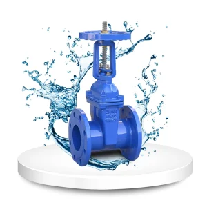 Manual Safety Structure Ductile Iron Rising Stem Flange Gate Valve for Water Application