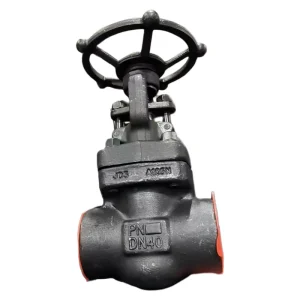 Manual Small Size Socket Welded Forged Steel Gate Valve 1/2in-2in Industrial Water Oil Gas Normal Temp 1 Year