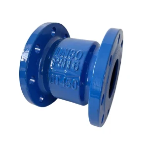 Manual Soft Seal Ductile Iron Silencing Check Valve for Water Systems