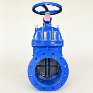 Manual Soft Seal Water Gate Valve Used for Fire Protection Cast Iron Valve Body EPDM Valve Seat Signal Valve DN40 DN1200