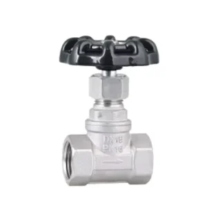 Manual Stainless Steel Globe Valve for Water Supply