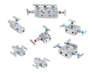 Manual Stainless Steel High Pressure Valve Manifolds 2 Way Needle Base OEM Pipe Fittings Lever