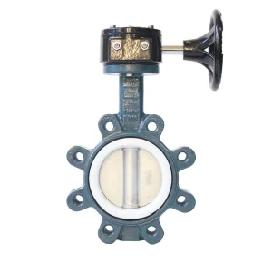 Manual Turbine Operated Carbon Steel Lug Butterfly Valve DN65 for Oil Gas Water Acid Media Normal Temperature