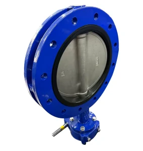 Manual U shaped Butterfly Valve with Worm Gear and EPDM Rubber Seat for Water DN300