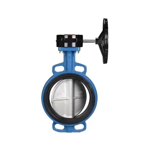 Manual Water Butterfly Valve with Worm Gear and Handle ISO Certified DN50 Port Size