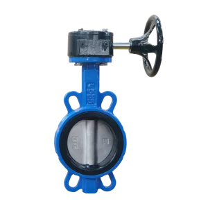Manual Worm Gear Butterfly Valve Ductile Iron Soft Seal EPDM Rubber Water