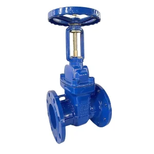 Manual Z41T Rising Stem Copper Core Gate Valve for Industrial Use