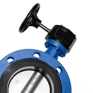 Manual-driven D341 Flanged Butterfly Valve, Ductile Iron, Blue Anti-corrosion Paint, Municipal Water Supply, Customizable
