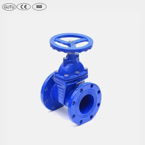 Manually Operated PN16 Z45X Flanged Gate Valve with Non-rising Stem and EPDM Rubber Seat for Water Applications