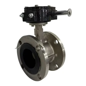 Manufacturer Custom Handle Stainless Steel Body with EPDM 45 Stainless Steel Pneumatic Application Flange Butterfly Valve