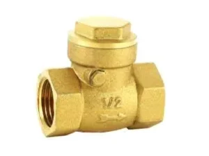 Manufacturer Direct Sales Brass Horizontal Check Valve for Water Applications Customizable OEM ODM OBM