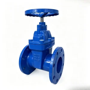 Manufacturer Direct Sales Ductile Cast Iron Soft Seal Gate Valve PN10 PN16 DN40~DN400 for Water Customizable