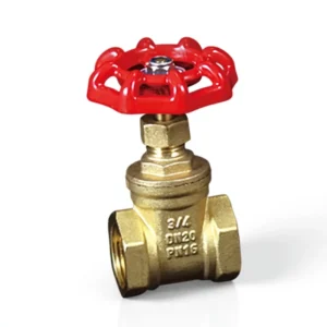 Manufacturer Direct Sales High Quality Check Gate Valve for Water Applications Customizable OEM ODM OBM