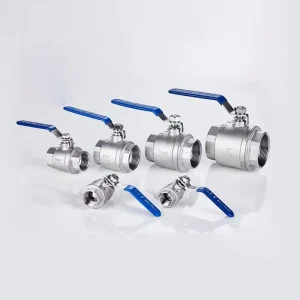 Manufacturer Stainless Steel Custom Sanitary Threaded Double-Disc Forged Ball Valve