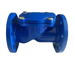 Manufacturer Supplies HC44X Rubber Flap Check Valve with Soft Seal Anti Backflow Flange Manual Water DN50 DN600