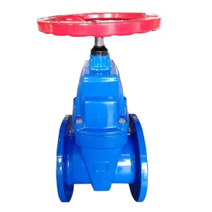 Manufacturer Supply Z45x Soft Seal Gate Valve 8 Inches Cast Iron BS 5163 Resilient Seated GGG40 Gate Valve