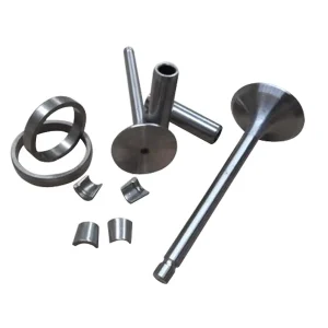 Manufacturers Diesel Engine Spare Parts S195 Valve Kits