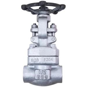 Manufacturers Forge 2 Inch Gate Valve Forged Socket Welded 1/2 Inch SW 800# Trim 12 A182 F316 API 602 DN65 Gate Valve