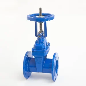 Manufacturer’s Soft Seal Rising stem Flange Gate Valve for Municipal Sewage Pipeline