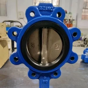 Manufacturing Butterfly Lug Type PN16 Butterfly Valve 4 Inch OEM Service