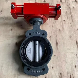 Marine Butterfly Valve GB T3036