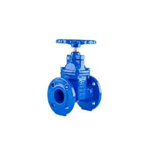 Marine Gate Valve Ductile Iron Corrosion Resistant Full Bore Fire Protection System Groove Soft Seal Gate Valve