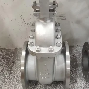 Marine Stainless Gate Valve 304 Flanged End Bolted Bonnet Sea Water Cooling System Waterworks