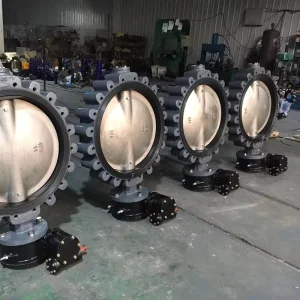 Marine Stainless Steel Lug Type Butterfly Valve Manual GB/T3036-94 for Plumbing and Drainage