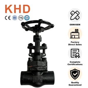 Media Applications Gate Valve A105 Forged Steel Manual Gate Valve for Water Oil Gas Media