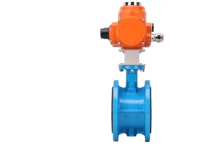 Modulating Industrial Stainless Steel 304 Flanged Butterfly Valve 24V DC Waterproof IP67