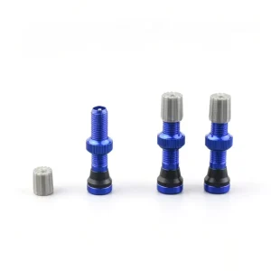 Mountain Bike Schrader Air Valve Tubeless Tire Valve Stems MTB Bicycle Air Valve