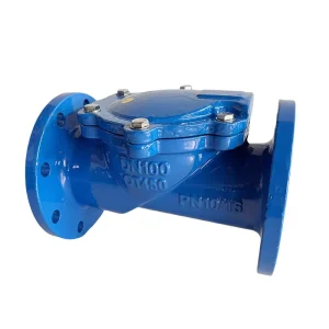 Multi Functional Standard Water Pump Control Valve H44X Rubber Flap Check Valve