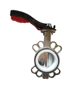 Multi-Specification General-Purpose Butterfly Valve Manual DN50 DN600 Normal Temperature Water SS316