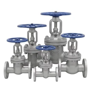 Multi size Collection WCB Cast Steel Flanged Gate Valve Series Industrial Valve Cluster