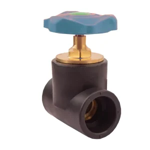 NSF Certified 25mm PVC PPR Shutoff Valve Pressure Reducing Swing Spring Check Customizable Brass Seal Hose Pipe with OEM Support