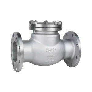 National Standard High Pressure Low Temperature 304 316 Stainless Steel Check Valves