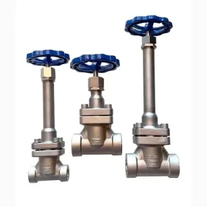 Nitrogen LPG Cryogenic Short Stem Flange Type Globe Valve Stop Control Valve Low Temperature Pipe DJ61F DJ41F Gas Valve