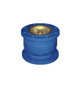Noise Elimination Check Valves Stainless Steel Valve Body Non return Valve Siuable Water