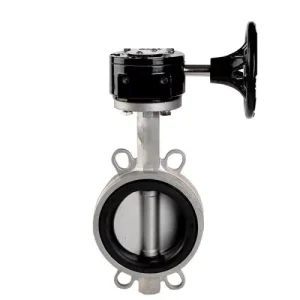 Non DN300 SS316 Valve Body EPDM Sealed Stem Manual Flange Butterfly Valve for Water Normal Temperature 18 Month Warranty