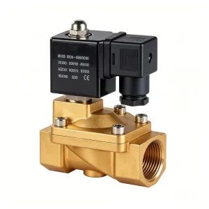 Non Leakage Brass Pilot Operated Solenoid Valve 2 Way Normally Closed for Water Treatment Air Compressor Pipeline