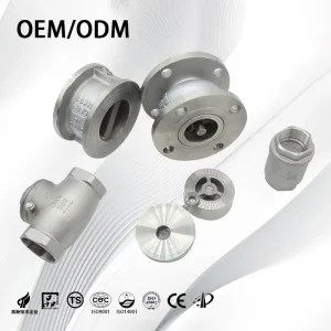 Non Return CF8 CF8M Stainless Steel Check Valve Spring Loaded Flange Vertical BSP for Chemical