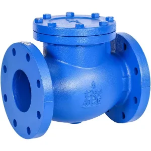Non Return Swing Type Check Valve Flanged Connection Manual DN50-DN1200 Base China Manufacturer